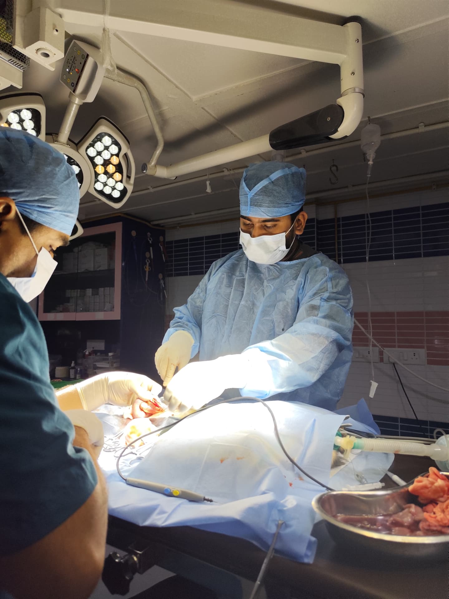 Dr. Nirmale and the surgical team at work in the Aura Vets operation theatre