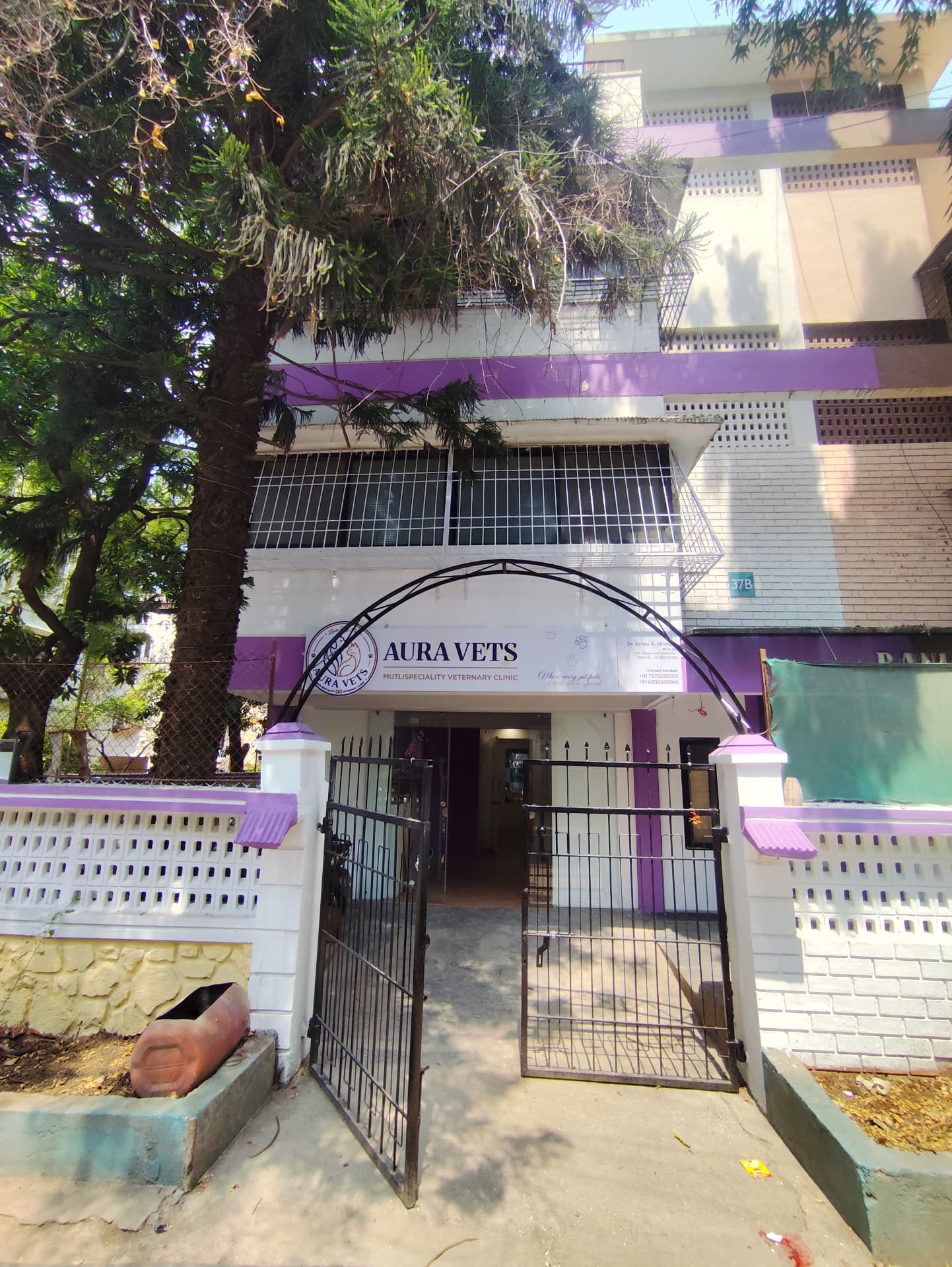 The Aura Vets entrance and signboard in Koregaon Park, Pune