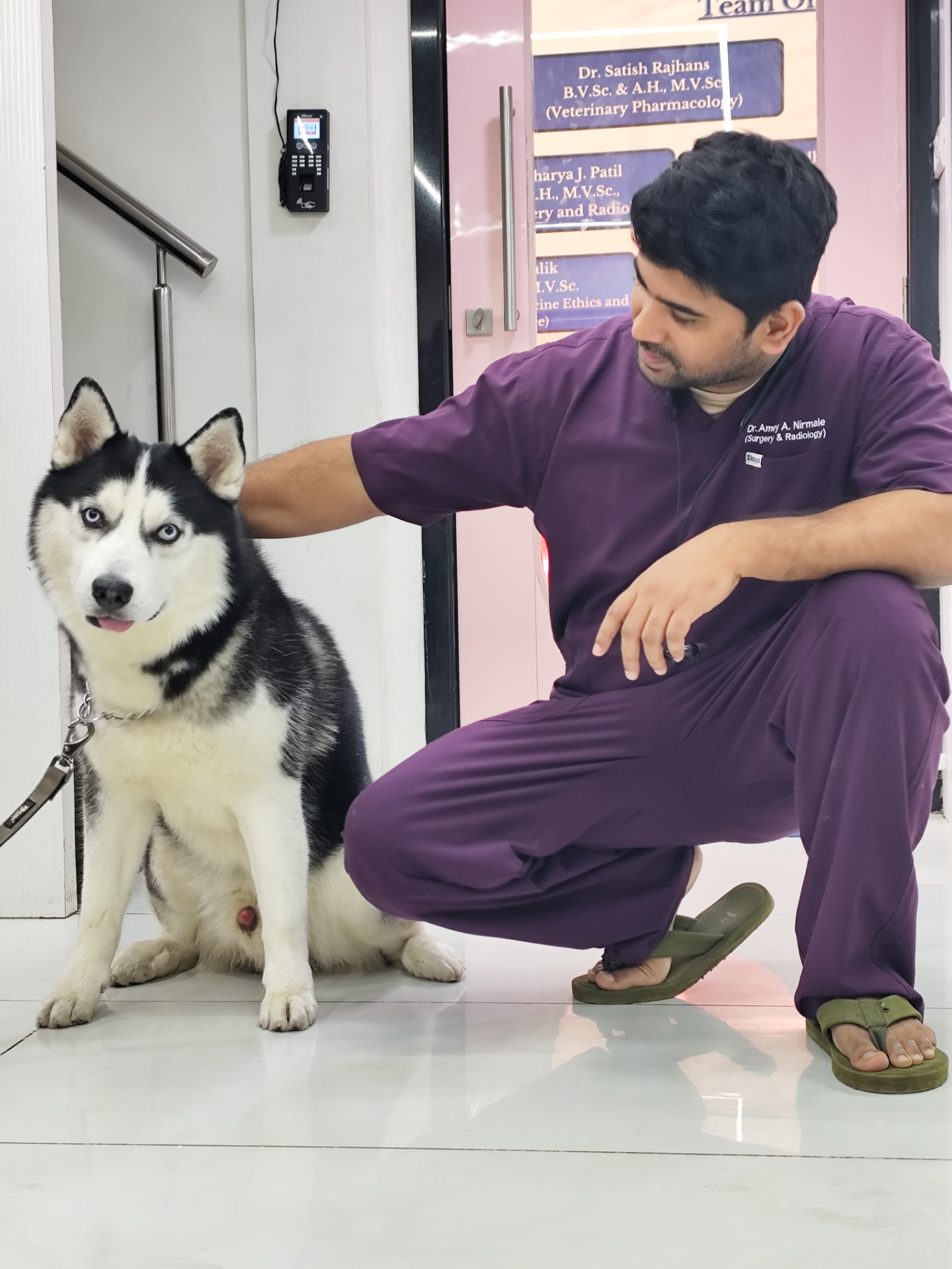 Dr. Nirmale crouching beside a Siberian Husky patient at Aura Vets